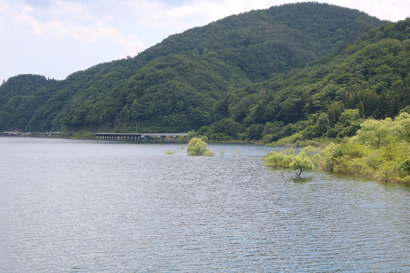 大倉湖でカヌーを楽しむ親子
